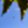 Img 4991